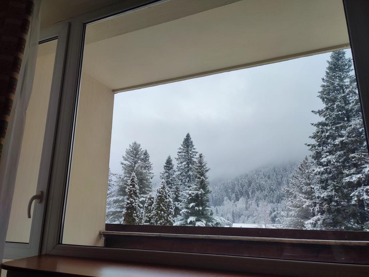 Hotel Ciucas Băile Tusnad Εξωτερικό φωτογραφία
