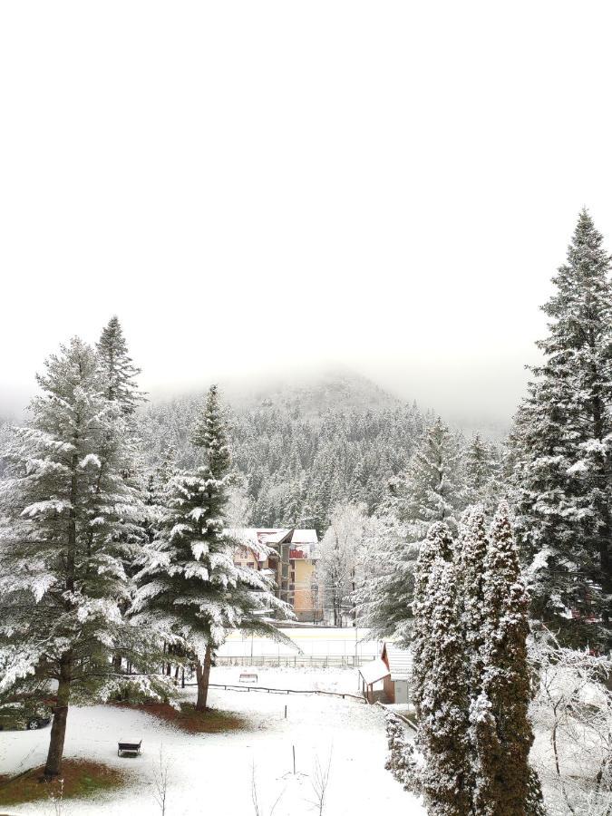 Hotel Ciucas Băile Tusnad Εξωτερικό φωτογραφία
